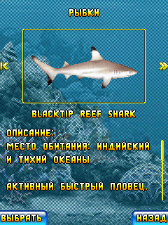 Виртуальный аквариум "Аквасим 2: Акулье логово"