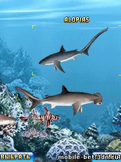 Виртуальный аквариум "Аквасим 2: Акулье логово"